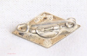 NS-Studentenbund Membership Badge image 4