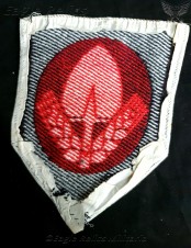 Small RAD cloth patch image 2