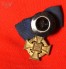 Treudienst-Ehrenzeichen Faithful Service Medal 40 Years Button Hole image 2