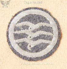 DLV Gliders Badge image 1